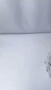 JIMSHONEY CARLINA BAG TAS WANITA BISA COD