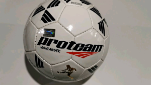 BOLA SEPAK PROTEAM