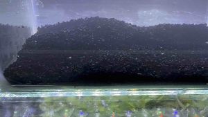 Natural Black Gravel Sand 1kg (Fine 1mm)