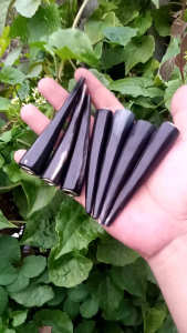 pipa pirok tanduk kerbau hitam 9cm super