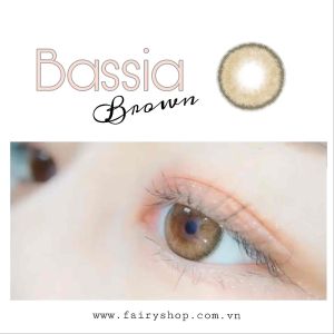 Kính Áp kính tròng cao cấp Bassia Brown Lens 14.0mm - FAIRY SHOP CONTACT LENS độ 0 đến 6