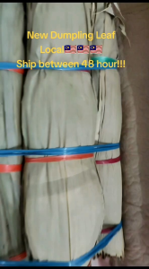 【1KG大份量】马来西亚野生粽叶 8-14cm | 清香不破裂 | 端午包粽子专用竹叶 【1KG DAUN BULUH LIAR】Asli Malaysia 8-14cm | Khas Untuk Bakcang Duanwu