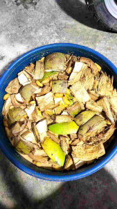 Đuông dừa tươi sống 30 con 100k. con to mập bao tươi sống được kiểm tra hàng trước khi thanh toán.