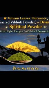 Vilvam Leaves Thiruneer (Vibhuti – Divine Spiritual Powder Attract Higher Energies Purify Mind & Surroundings