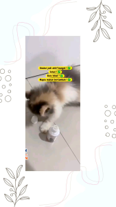 SEMPATI  MEOVIT VITAMIN BULU KUCING OBAT GEMUK  PENGGENUK NAFSU MAKAN KUCING MULTIVITANIN