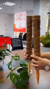 Coco Stick Climber Extendable Coco Stick Moss Pole For Indoor Climbing Plants Coco Fiber Pole Climbing Plant Support