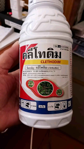 คลีโทเดิม ใช้กำจัดวัชพืชใบแคบหลังหว่านเมล็ดผักควรมีใบจริง 3-5 ใบสามารถพ่นทับพืชประธานได้เลยไม่อันตรายต่อพืช