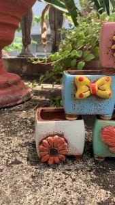 Chậu trồng cây sen đá/xương rồng/bonsai nhập Trung hình hoa nổi/Pot Flower