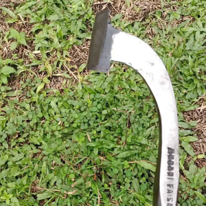 Pisau sadap karet thailand cap akbarifaisal Pisau Pemangkasan Berkualitas Pruning Knives Untuk Pertanian Alat Berkebun Efisien - Lazada