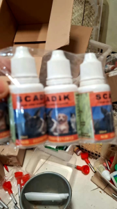 scadik oles paket 20 pc obat oles scabies gudik kutu jamur untuk kelinci kucing anjing musang kambing paling ampuh