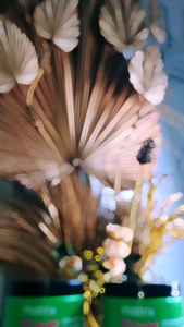 ASS | Matrix Food For Soft New Produk Series | Shampo 300 ml | Condi 300 ml | Serum Oil 50 ml | Mask 500 Gram | Shampo 1L