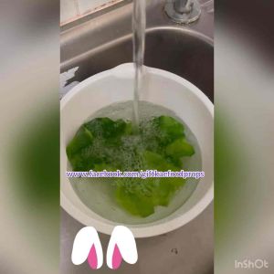 ผลิตจากยาง ล้างน้ำ ผักปลอม ใบผักหอม ใบผักหอมปลอม (ใบเเล็ก) วัสดุ