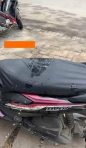 Sarung/Cover Jok Motor Universal Premium Quality Beat Pcx Nmax All Motor Bebek