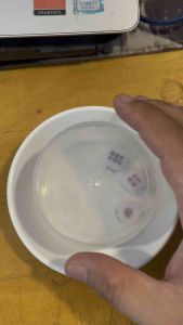 Nắp lắc tài xỉu trong suốt