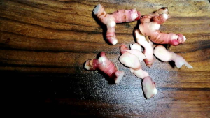 galangal fresh 200/500/1000 grams Thai ginger Langkawas Lengkuas fresh galangal Indonesian variety pink and young for Tomyam