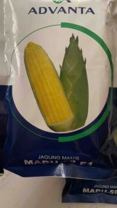 BIBIT BENIH JAGUNG MANIS TAHAN VIRUS SI MADU 59 F1 ISI 250 GRAM ADVANTA