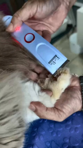 LoveShow Professional Pet Grooming Clippers Quiet Safe Efficient for Cats & Dogs with Precision Blade One Touch Power LED Indicator Fast Charging Sleek Durable Design.