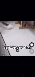 新款高温高压蒸汽清洁机家用空调厨房油烟油污洗鞋商用消毒清洗机