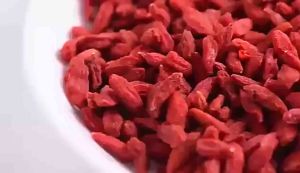 Kỷ Tử đỏ ( Goji Berry ) chua ngọt dùng phà trà nấu chè