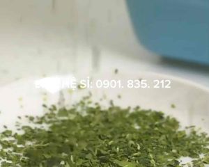Lá Mùi Tây gia vị sấy khô nhập khẩu ( Parsley ) làm nước sốt ướp thịt