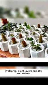 2x2" CEMENT MINI POTS FOR CACTUS AND SUCCULENT | CANDLE HOLDER| DEFAULT IS NO HOLE