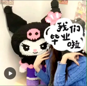 网红可爱库洛米积木美乐蒂兼容乐高积木The popular cute Kuromi building blocks Melody are compatible with Lego building blocks