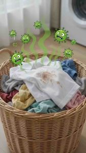 Fresh Wash Laundry Detergent 5L with Fabric Softener