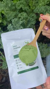 100% ผงผักเคล ออร์แกนิค ไม่แต่งสี ไม่ผสมแป้ง/ขนาด 100 กรัม