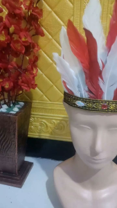 Mahkota Bulu & Aksesoris Kepala Karnaval Terbaru Bisa Request Warna