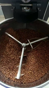 Kopi Robusta Luwak Liar 200g Cibunar Linggajati Kuningan Jawa Barat gunung Ciremai Sasadulur kopi