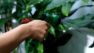 HIU Kapsul Ekstrak Kumis Kucing: Obat Herbal Peluruh Batu Ginjal Isi 60