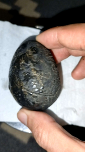 Patung telur klintig warna hitam asli