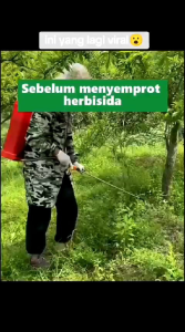 Beli 3 Gratis 1 /Kill Grass Panda Herbicida 100%Organik cair / penghilang gulma dan hama tanaman