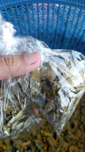 Ikan asin semadar / serba 7000rb an / kantong plastik bening