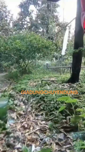 (10 - 50 cái Có bù áp) Béc vít phun xoay 360 độ phi 21 27 thương hiệu Tài Phúc