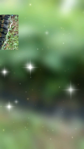 สะตอข้าว🌿🌴