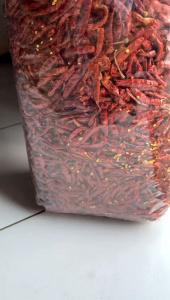 Cabe Rawit Kering Teja Japlak (Grade A PREMIUM" )250 gram Tanpa Tangkai