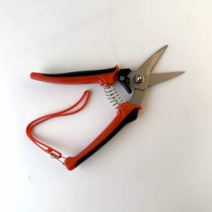 3-4 กรรไกรตัดกิ่ง ปากตรง 7.5นิ้ว SOLO ตัดกิ่งไม้ขนาด8-10มม. No.5608-7.1/2 โซโล ตัดกิ่ง กิ่งไม้ กรรไกร กันไกร คีมตัด คีม คีมตัดกิ่ง ALUWARE AW202 กรร