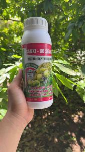 CANXIBO CHAI 1 LÍT CHỐNG RỤNG HOA VÀ TRÁI NON CHỐNG NỨT TRÁITHỐI BÔNG VÀ THÚC RA HOA TẬP TRUNG