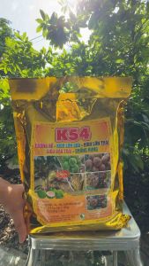 PHÂN BÓN KÍCH RỄ PHÁT GỐC LỚN TRÁI SIÊU ĐẬU TRÁI CHỐNG RỤNG HOA VÀ TRÁI NON GÓI 4KG