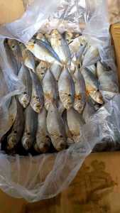 ikan asin selar jumbo / ikan asin selar besar / 500 gram Murah Bisa COD