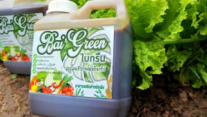 Baigreen ใบกรีน อาหารเสริมบำรุงพืช