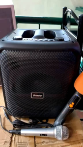 BRODU BTS-1740 BLUETOOTH SPEAKER KARAOKE 2 MICROPHONE