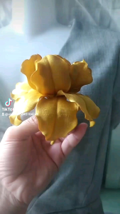 Hoa diên vĩ cài áo handmade Canto màu vàng