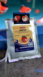 (GROTOP)Original Campuran pelet ikan untuk Menaikan nafsu makan ikan