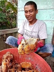 Madu Hutan LIAR 1 kg Asli Murni Langsung dari Petani Madu Liar