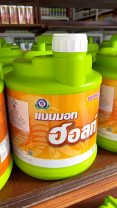 แมมมอท ฮอลท์ (แกลลอน 4 ลิตร) เทพวัฒนา ลดปริมาณการแตกใบอ่อนใหม่