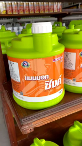 แมมมอท ซิงค์ (แกลลอน 4 ลิตร) เทพวัฒนา ช่วยในการเข้าสีของใบ ทำให้ใบเขียวอย่างสม่ำเสมอ