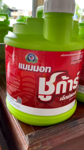 แมมมอท ชูก้าร์เอ็กซ์เพรส (แกลลอน4 ลิตร) น้ำตาลทางด่วนสำหรับพืช เทพวัฒนา  ซึ่งพืชสามารถนำไปใช้เป็นพลังงานในกระบวนการต่างๆ