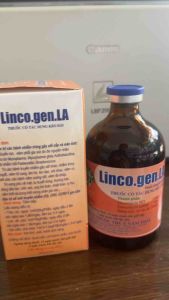 LINCO GEN LA Năm thái (100ml) hen suyễn tụ huyết trùng gia súc gia cầm